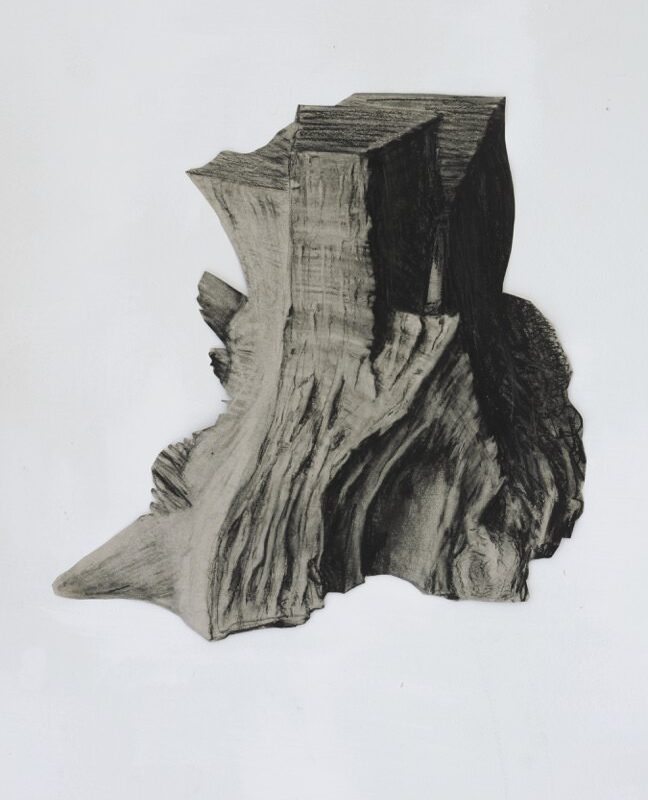 platanus 2, houtskool, siberisch krijt en potlood op papier, circa 33 x 34 cm, 2019