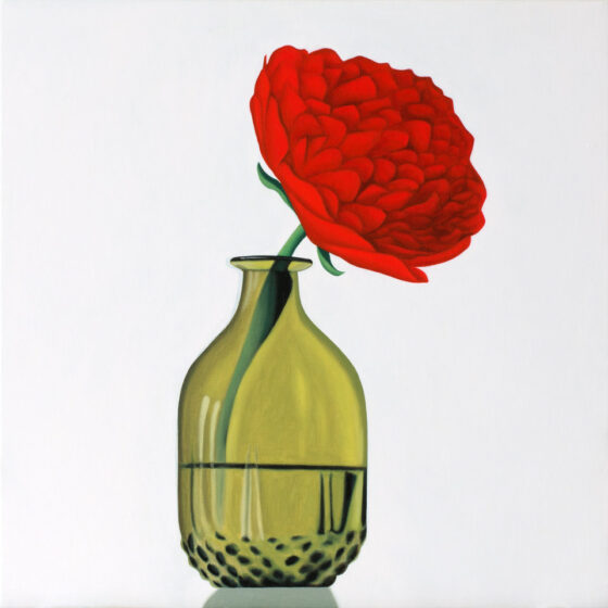 rose, 50 x 50 cm, oil, 2020