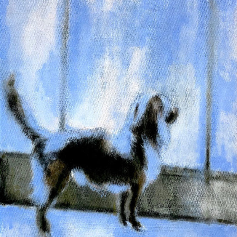 blue dog, acryl op linnen, 50 x 40 cm, 2020