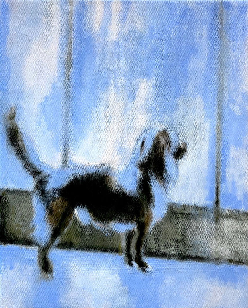 blue dog, acryl op linnen, 50 x 40 cm, 2020