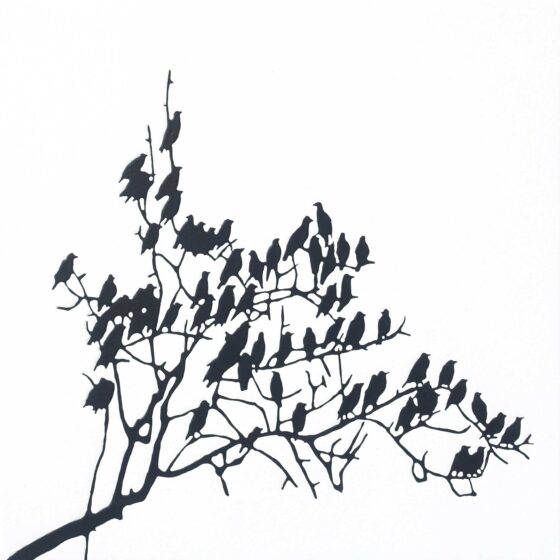crows no. 2, acryl op mdf, 50 x 50 cm, 2021