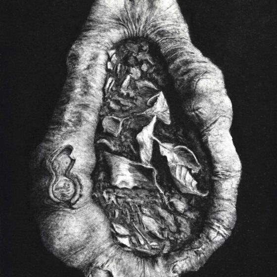 Caressing and Colliding - Sharing the Land, 65 x 50 cm, charcoal on paper, 2021