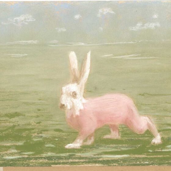Witte haas van Inaba, 34 x 27 cm., pastel op papier