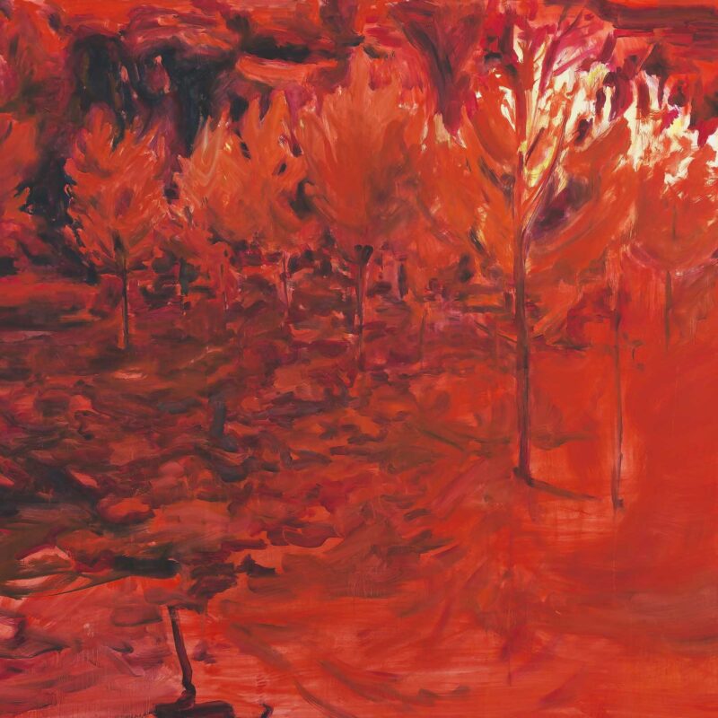 Eeuwigheid in rood, olieverf op katoen, 200 x 240 cm, 2021