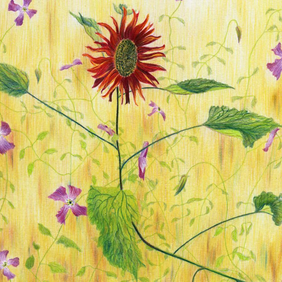 Joppe, Potlood op papier, 20,5 x 23,8 cm, 2021