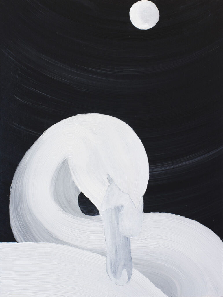 Albino Swan sleeping in the moonlight, 45 x 60 cm, ,acryl op paneel, 2022