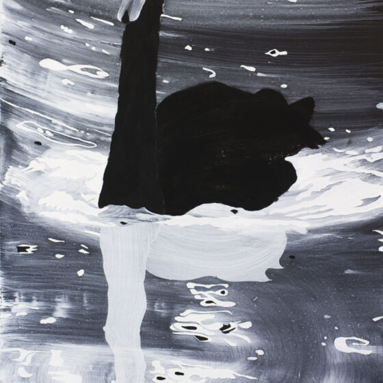 Black & White Swan, 40 x 60 cm, acryl op paneel, 2021