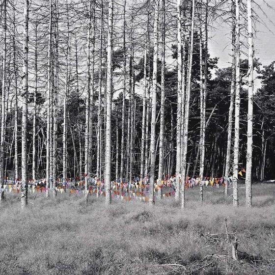 Buiten is het feest, 117 x 211 cm, gobelin en handgeborduurd, Jenny Ymker 2022
