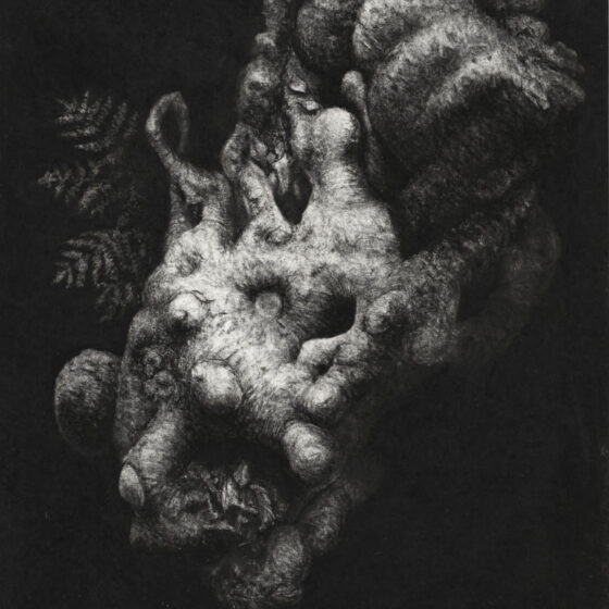 caressing and colliding - sharing the land 10, 65 x 50 cm., charcoal and compressed charcoal on paper, 2021-22