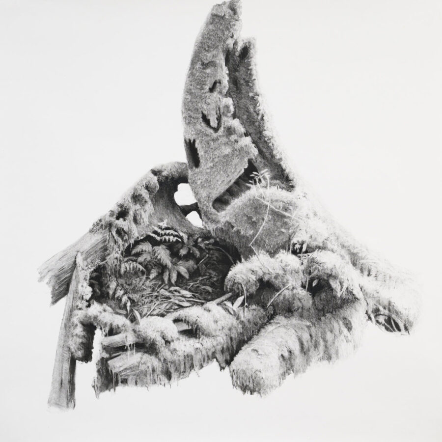 the wild gardens 1 (japan), 139 x 145 cm., (compressed) charcoal on paper, 2021