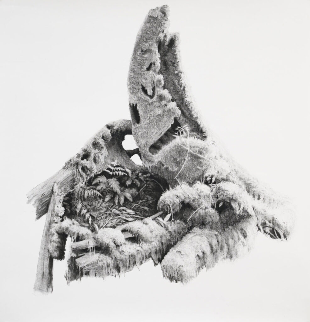 the wild gardens 1 (japan), 139 x 145 cm., (compressed) charcoal on paper, 2021