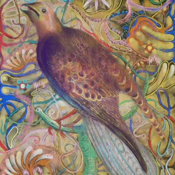 roofvogel, harry miedema, pastel op papier, 40 x 51 cm., 2022
