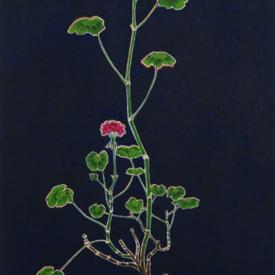 geranium, 44 x 88 cm., olieverf en bladgoud op linnen, 2022