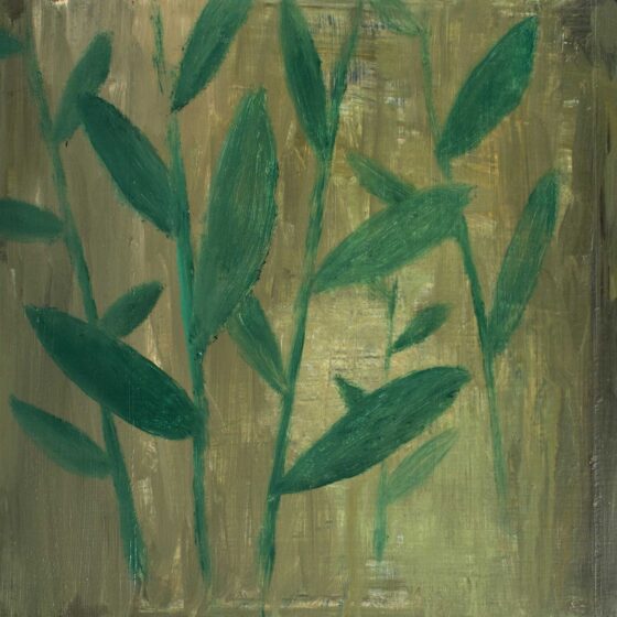 Ficus, Olieverf op doek, 24 x 25 cm., 2023