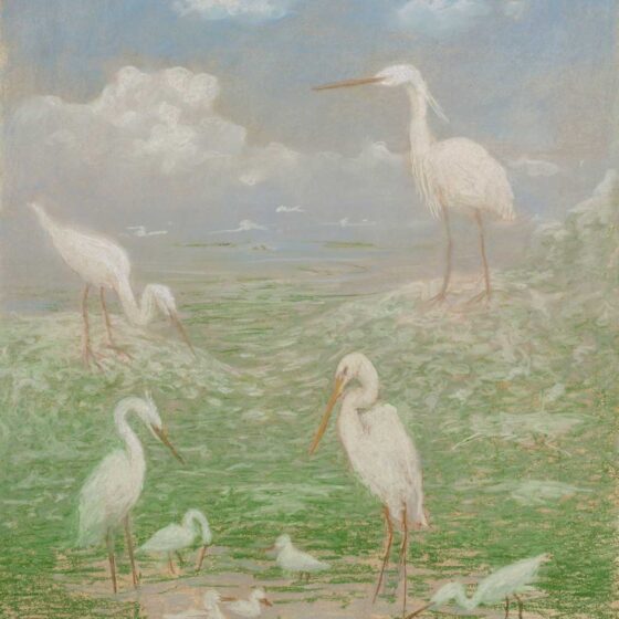 Witte vogels in het grasland, 72 x 52 cm., 2023