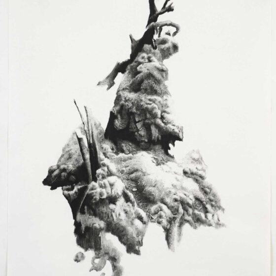 caressing and colliding - sharing the land 3, 138 x 108 cm, charcoal and compressed charcoal on paper, 2021