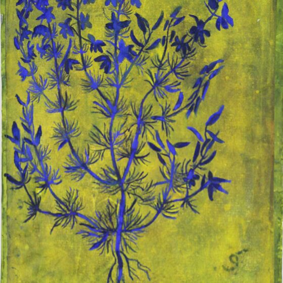 the flower in me, 21-27 cm., werk op papier, 2024