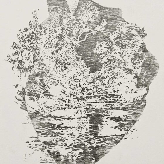 My (Overgrown) Heart_ A River Running Through It, 2024, pencil / paper, 40 x 30 cm.