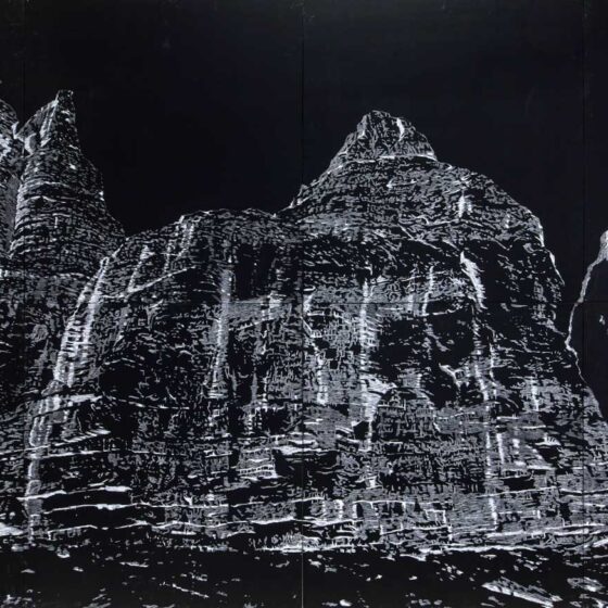 Walking the Mountain, Drawing the Mountain, 2022, white pencil / acrylic / multiplex, 220 x 400 cm. photo Marcel de Buck.