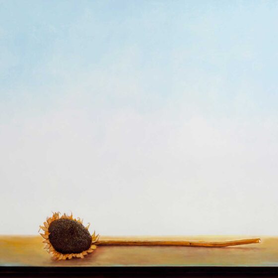 dode zonnebloem, 108 x 88 cm., olieverf op linnen, 2024