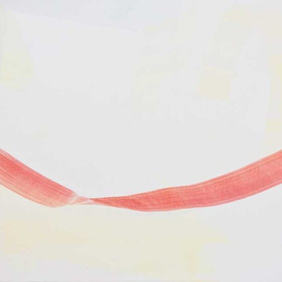 Zonder titel, 67 x 108 cm., Ei-tempera op linnen, 2023