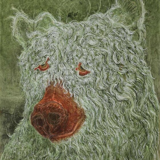 Peter Miedema, roodneus beer, 2024, 50 x 40 cm., inkt en pastel op papier